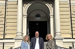 Su prof. J. P. Villeneuve Lugano universitete